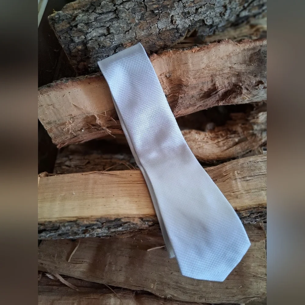 Elegant Silver Tie for Men